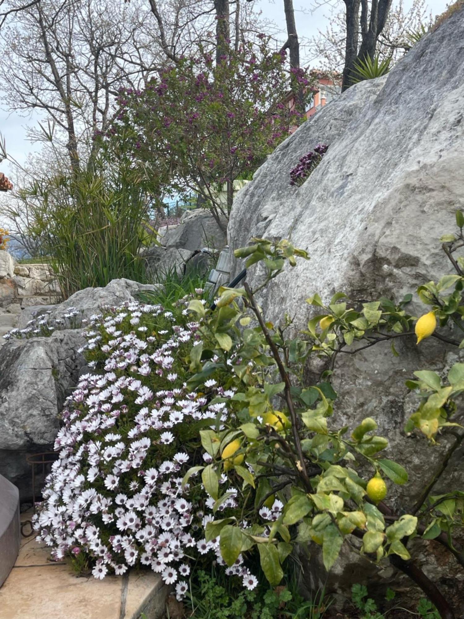 Rez De Jardin, Entre Mer Et Montagne Levens Exterior foto
